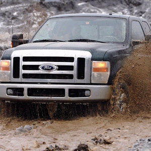 Meet your Posher, Cheyenne